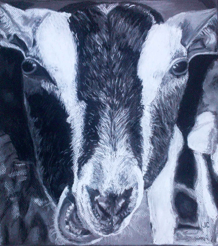 Billy Goat - Charcoal