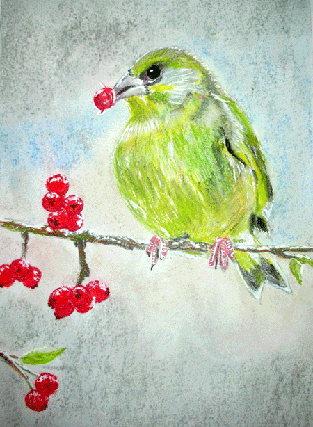 greenfinch