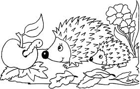 hedgehogs1