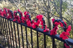 Knitted Poppies on the Road of Remembrance